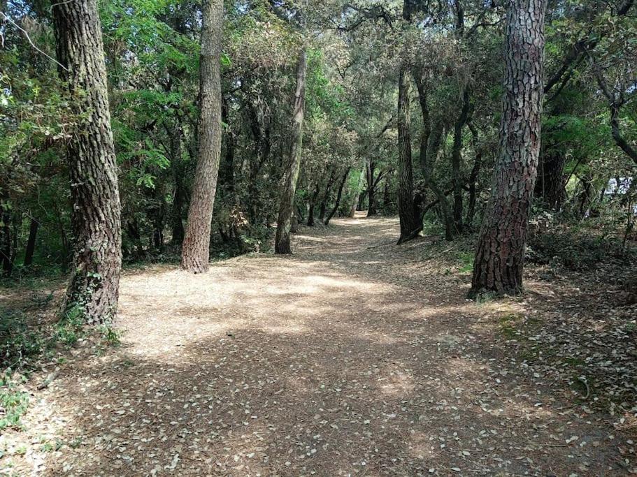 Charmant T2 Au Coeur Du Golf De Port Bourgenay Talmont-Saint-Hilaire Ngoại thất bức ảnh